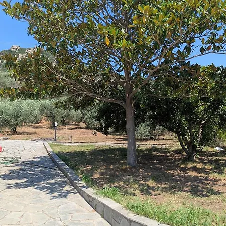 Villa Anastasia - Private In An Olive Grove *