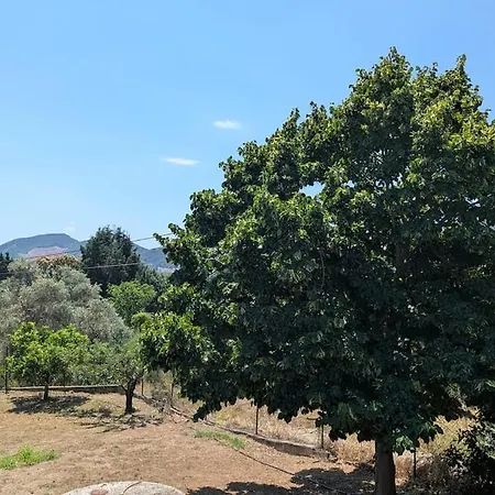 Anastasia - Private In An Olive Grove Villa Nea Iraklitsa