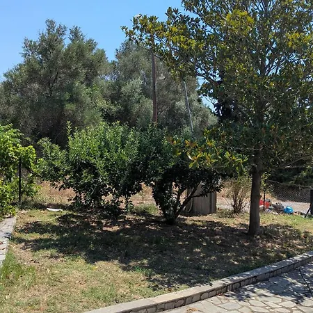 Villa Anastasia - Private In An Olive Grove *